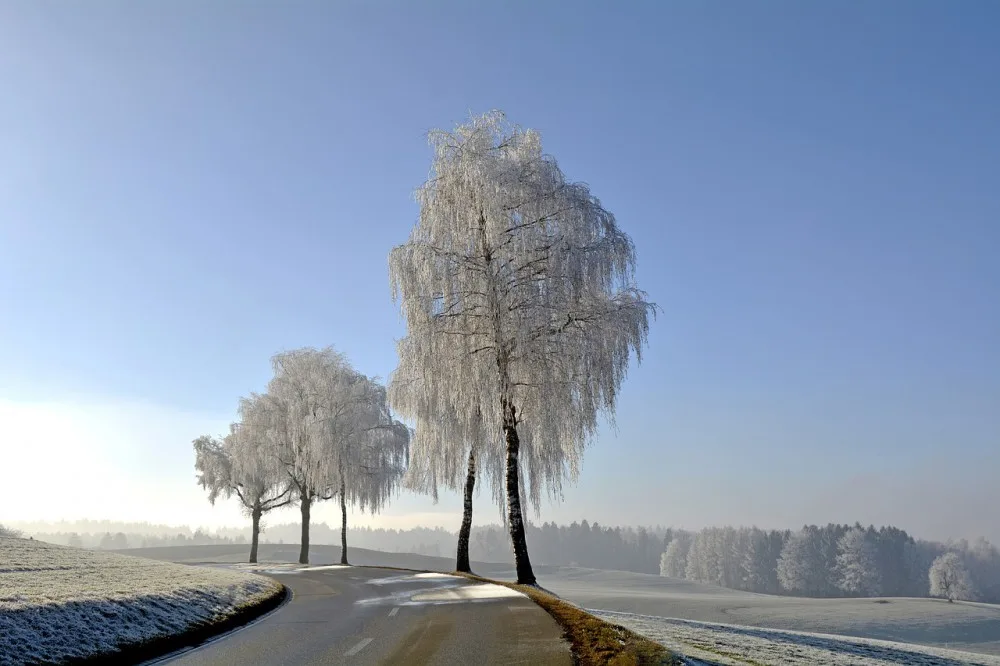 ilustrační foto