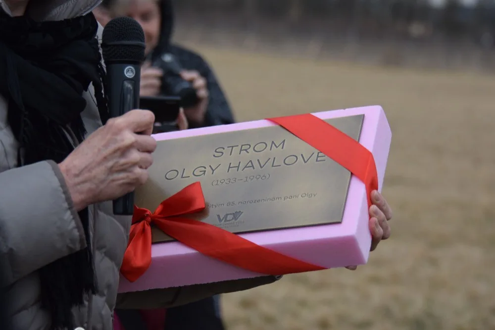 FOTO: V Holickém lese byl vysazen strom pro Olgu Havlovou