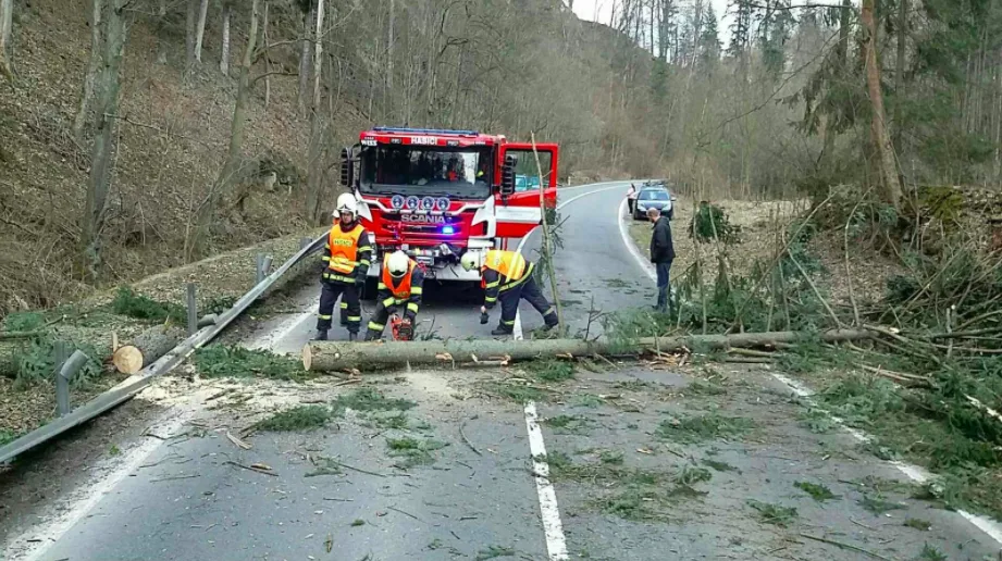 Silný vítr opět zaměstnává hasiče, většinou jde o spadané stromy