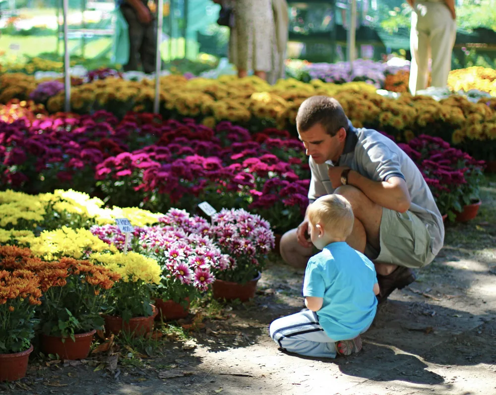 SOUTĚŽ: Jarní Flora slaví šedesáté výročí. Tady je hned patnáct důvodů, proč ji navštívit
