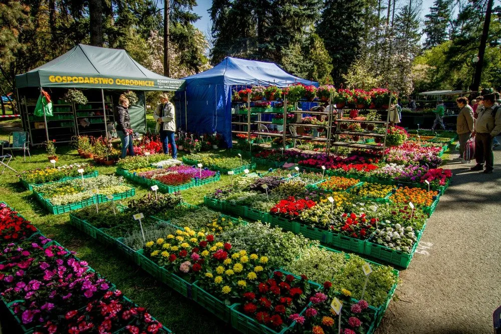 SOUTĚŽ: Jarní Flora slaví šedesáté výročí. Tady je hned patnáct důvodů, proč ji navštívit