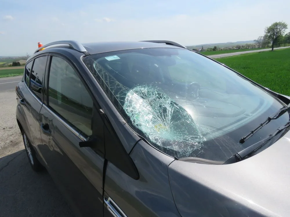 FOTO: Policisté ve středu zasahovali u dvou střetů auta se zvěří