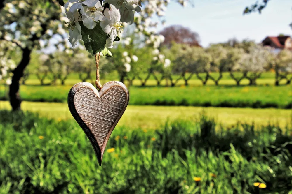 spring-3355416_1280