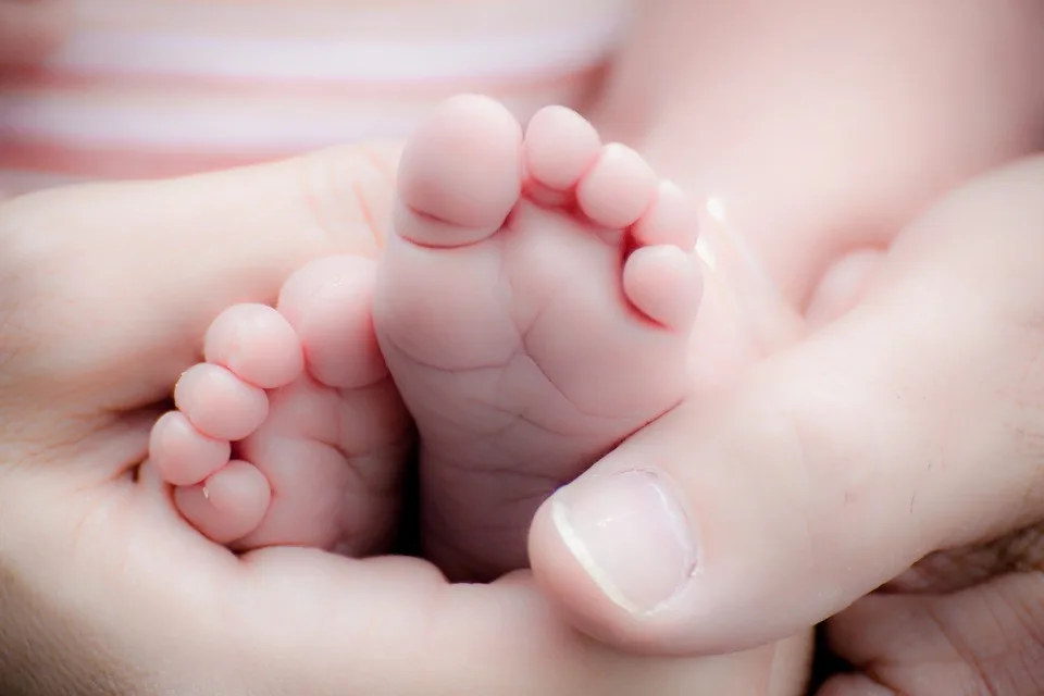 Darováním cytoplazmy pomůžete neplodným párům k vytouženému miminku