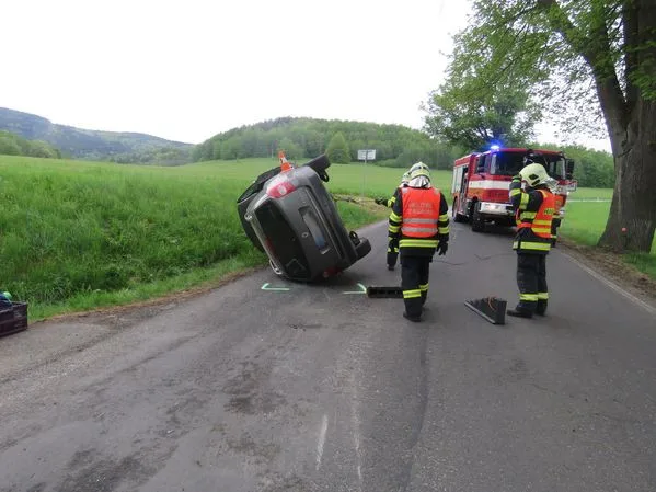 Řidič naboural kvůli včele, škoda přesáhla sto tisíc