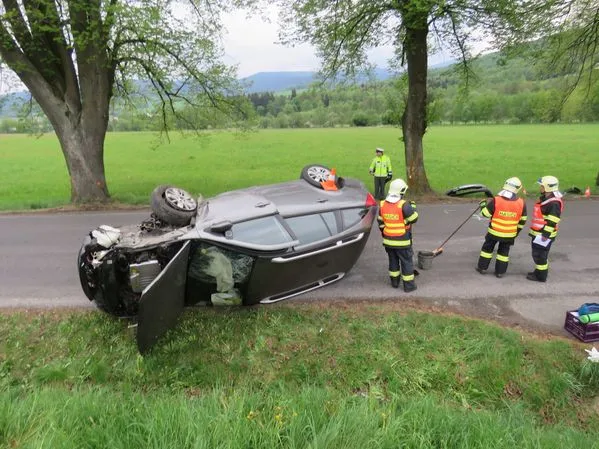 Řidič naboural kvůli včele, škoda přesáhla sto tisíc
