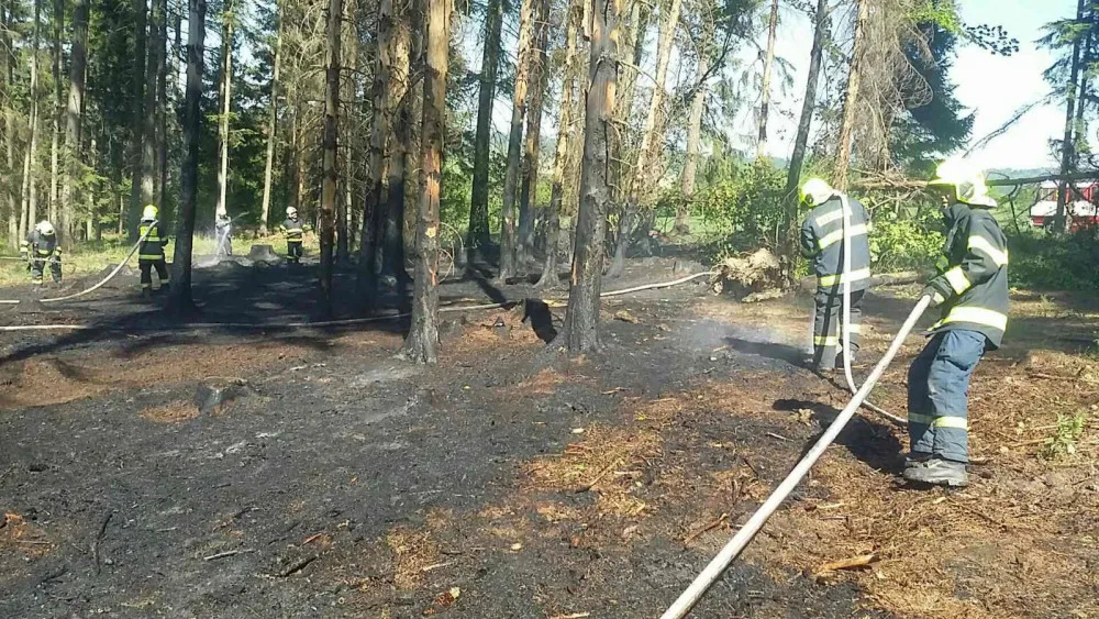 V lese u Heroltovic hořelo, hasiči měli plameny pod kontrolou za půl hodiny