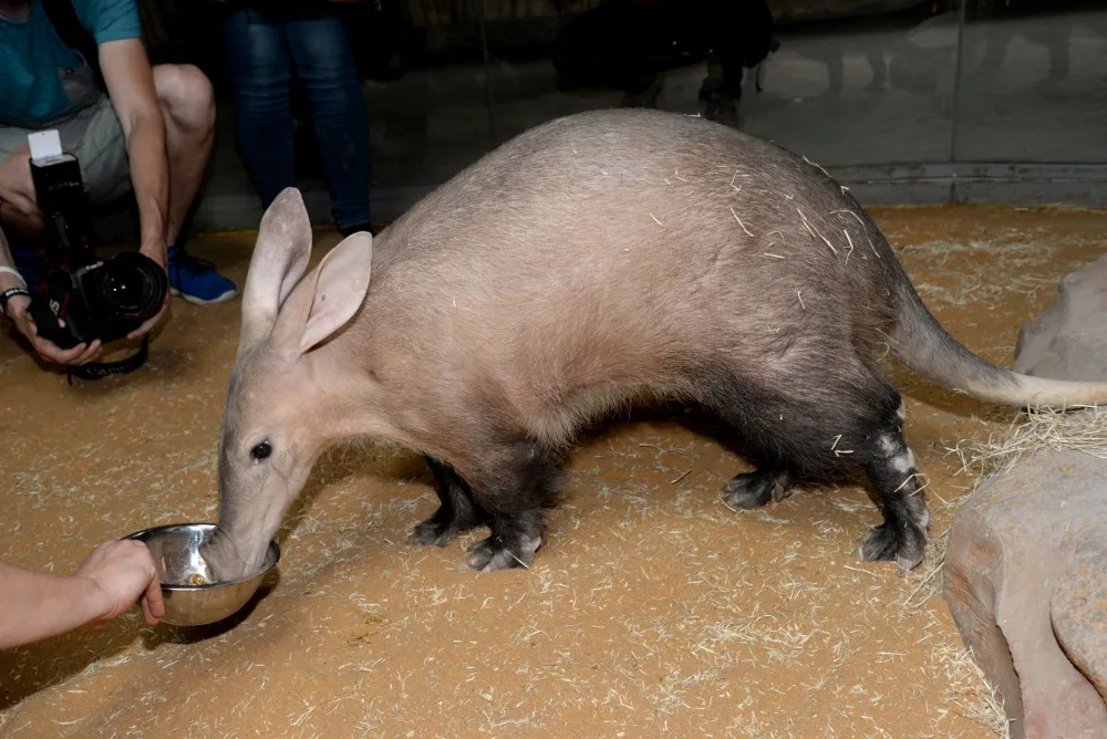 Olomoucká zoo otevřela nový pavilon za patnáct milionů