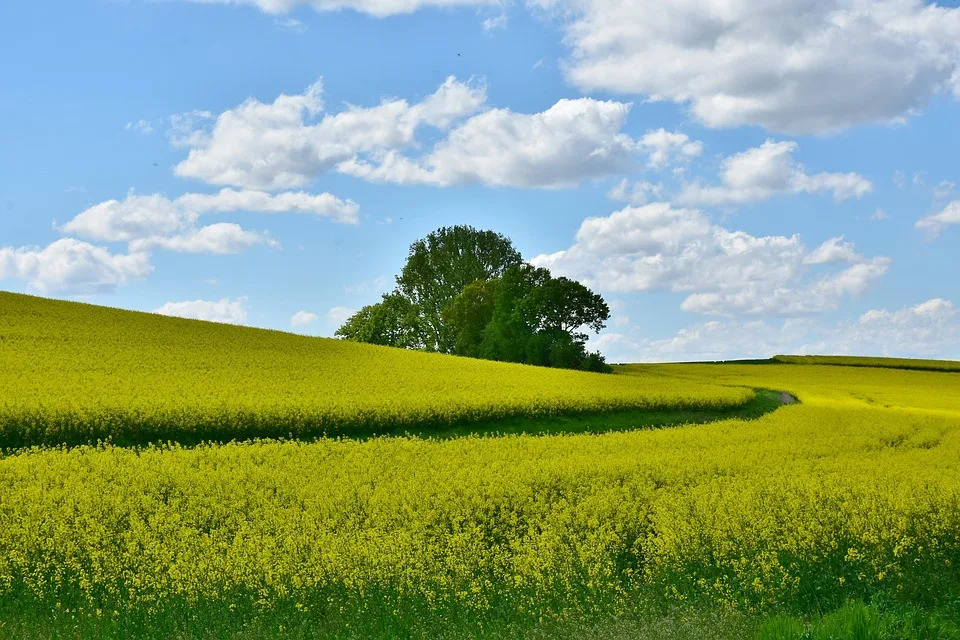 ilustrační fotografie