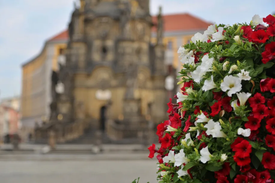 Centrum města zdobí květinové pyramidy, připomínají 100. výročí Československa