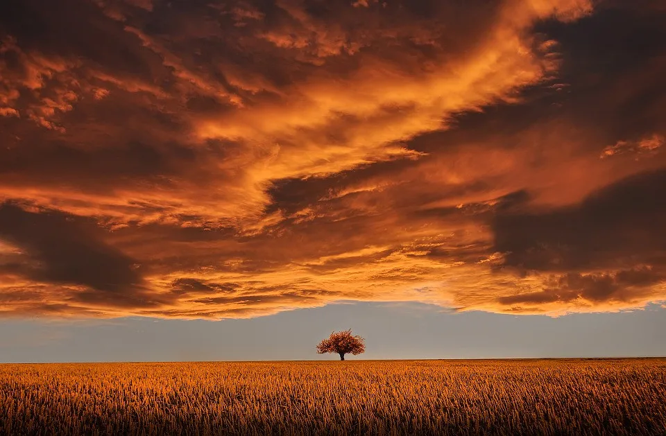 ilustrační fotografie