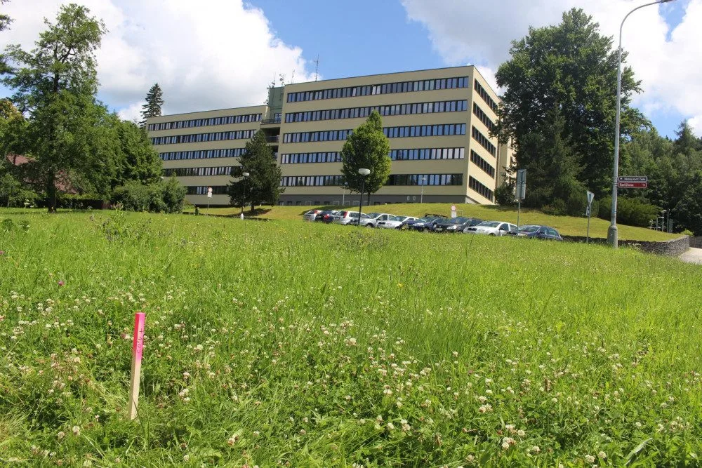 Parkoviště pro pětapadesát aut vznikne pod jedním z pracovišť úřadu v Jeseníku