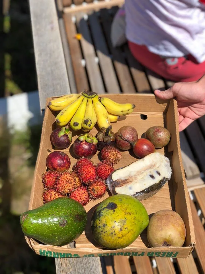 V areálu Letního kina se bude ochutnávat exotické ovoce, Virunga doveze annony, dračí ovoce i jackfruity