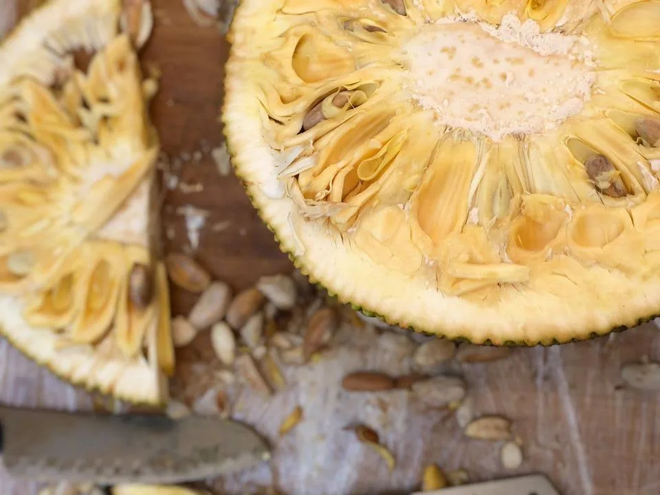 V areálu Letního kina se bude ochutnávat exotické ovoce, Virunga doveze annony, dračí ovoce i jackfruity