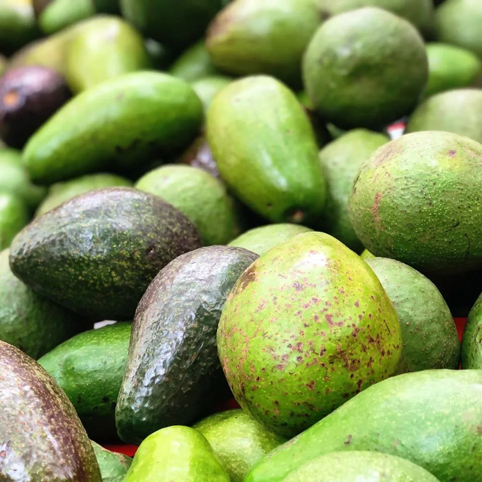 V areálu Letního kina se bude ochutnávat exotické ovoce, Virunga doveze annony, dračí ovoce i jackfruity