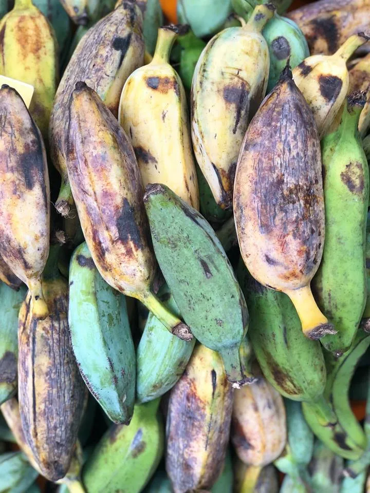 V areálu Letního kina se bude ochutnávat exotické ovoce, Virunga doveze annony, dračí ovoce i jackfruity