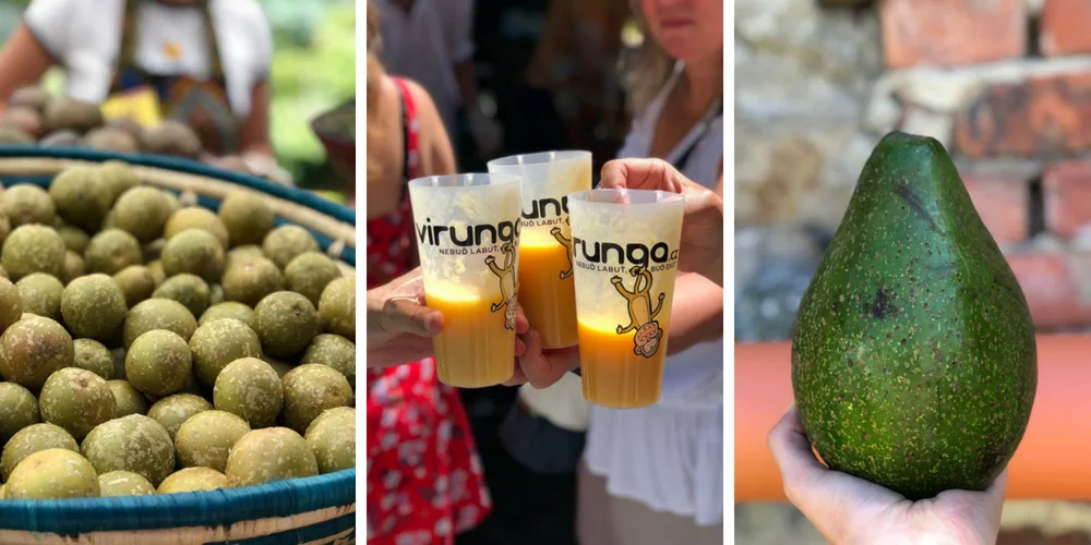 FOTOGALERIE: Jackfruit, baby banány nebo drink z cukrové třtiny. Olomoučané v neděli ochutnávali Afriku
