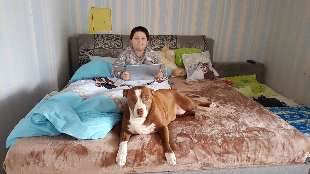 Matka sama pečuje o syna s autismem. Nyní jim hrozí, že přijdou o střechu nad hlavou