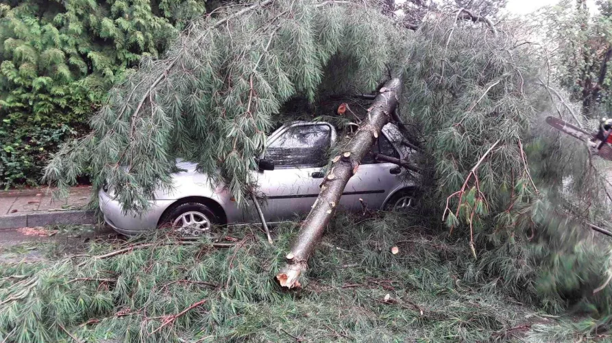 FOTO: Prostějovem se prohnala silná bouřka, stromy padaly i na auta