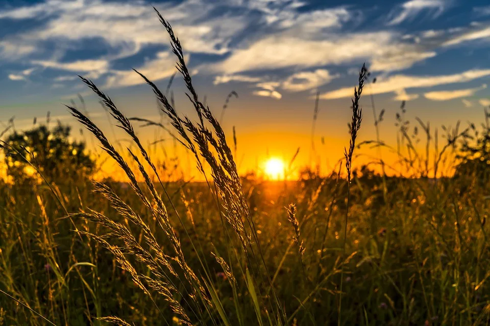 ilustrační fotografie
