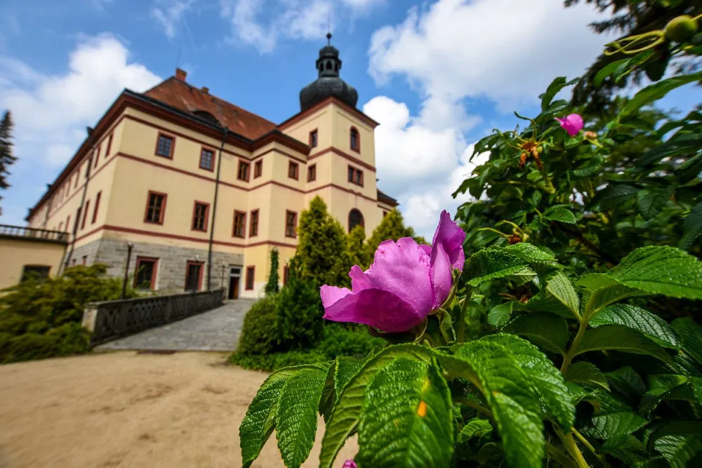 Síť elektrokol v jižních Čechách se rozrůstá