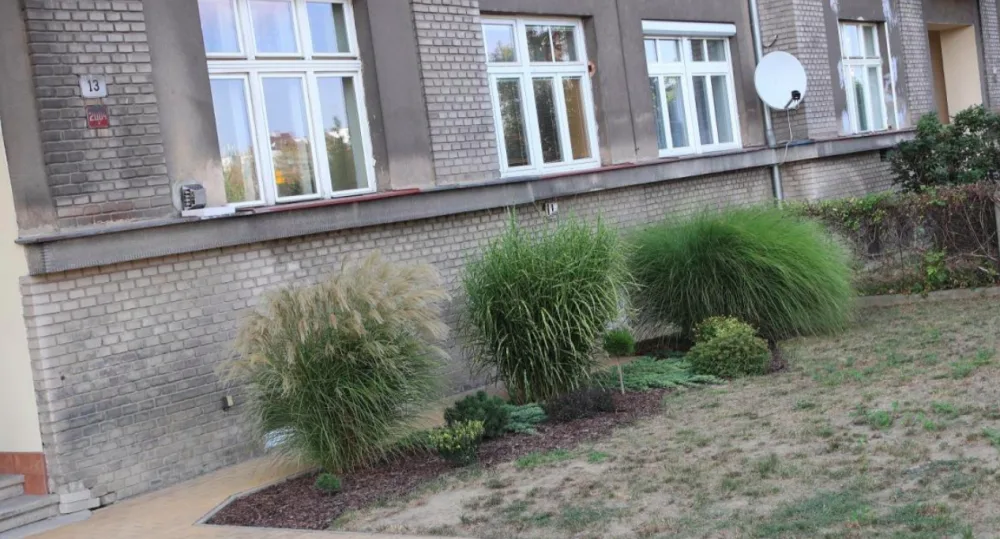 Ve vyhlášení předzahrádky roku se letos objeví jen dvě místa, podle odborníků byla úroveň ročníku nízká