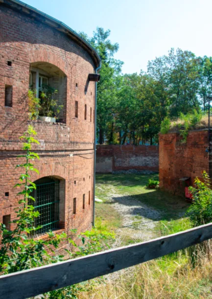 Vedoucí spisovny ve Fakultní nemocnice jde do penze. V bludišti dokumentů strávila Miloslava Dudková 36 let