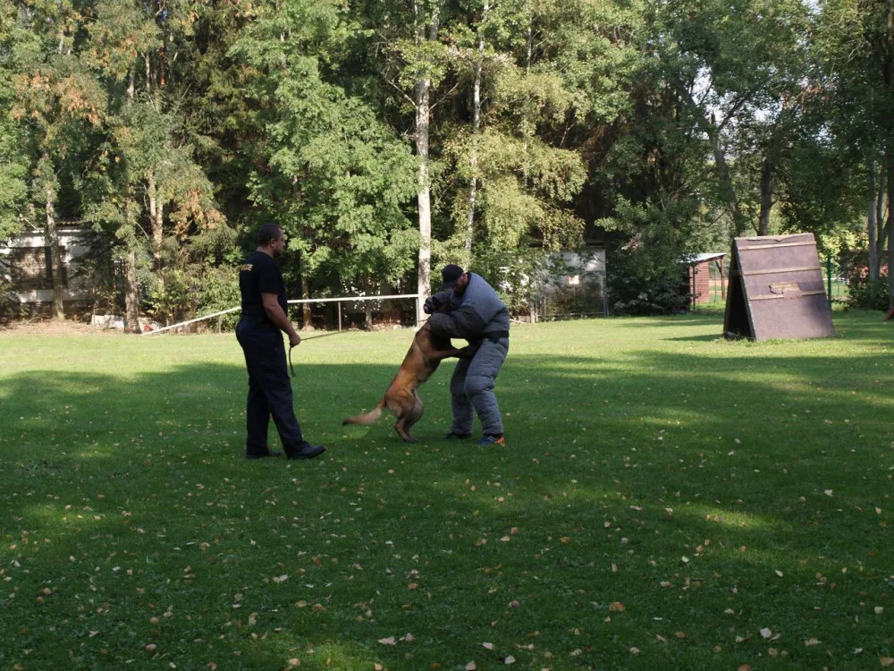 FOTO: Den policistou. Děti ze základní škol poměřovaly síly v různých policejních disciplínách
