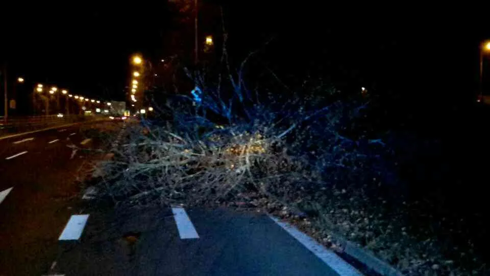 FOTO: Hasiči v noci zasahovali u čtyřiceti případů, silný vítr láme stromy a situace se neuklidňuje