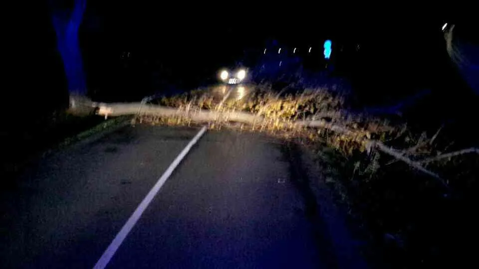 FOTO: Hasiči v noci zasahovali u čtyřiceti případů, silný vítr láme stromy a situace se neuklidňuje