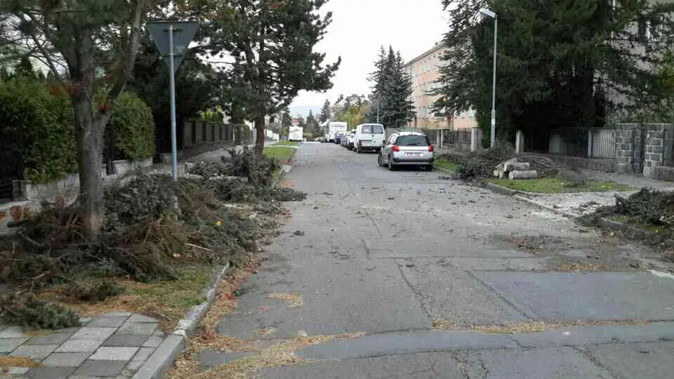 Hasiči za sebou mají od včerejšího večera kvůli silnému větru více než sto šedesát výjezdů