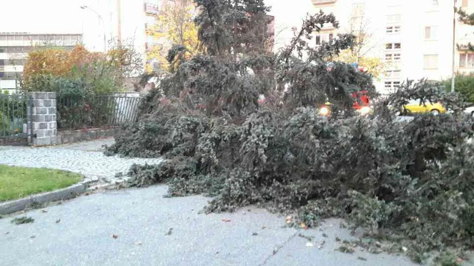 Hasiči za sebou mají od včerejšího večera kvůli silnému větru více než sto šedesát výjezdů