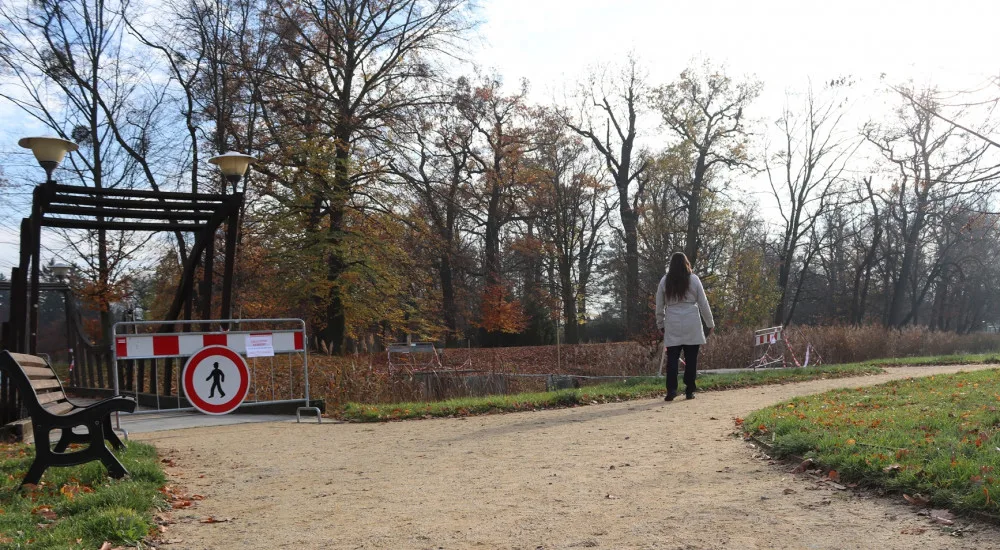 Dřevomorka zničila mosty v parku. Město zaplatí za opravu dvojnásobek