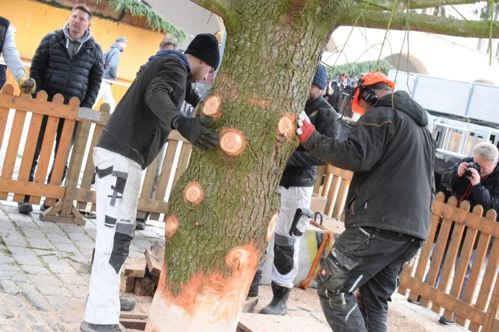 FOTO/VIDEO: Na náměstí už stojí vánoční stromeček. Jméno se dozvíme při pátečním rozsvěcení