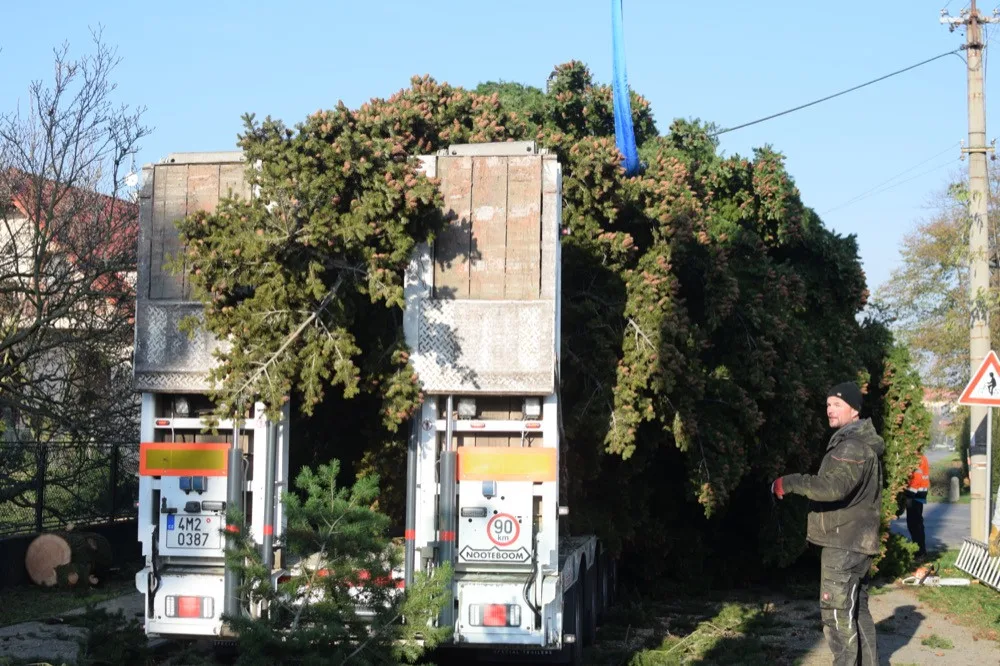 FOTO/VIDEO: Na náměstí už stojí vánoční stromeček. Jméno se dozvíme při pátečním rozsvěcení