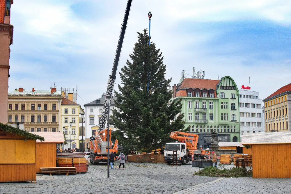V Olomouci se dnes rozsvítí vánoční strom, dopravní podnik posiluje tramvajový provoz