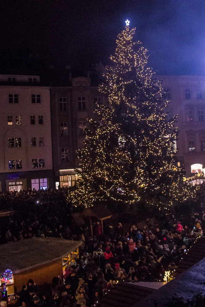 FOTO/VIDEO: Olomoucký vánoční strom dostal jméno Štístko. Podívejte se na fotky z rozsvícení!