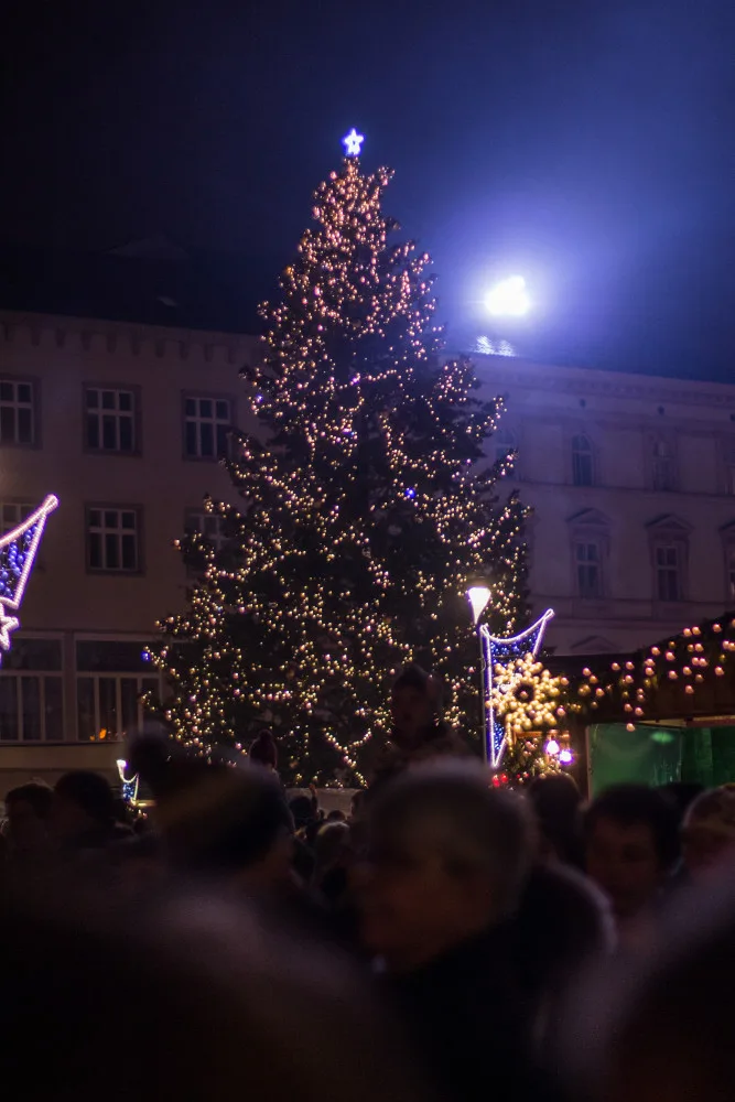 FOTO/VIDEO: Olomoucký vánoční strom dostal jméno Štístko. Podívejte se na fotky z rozsvícení!