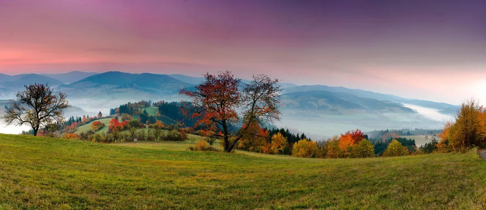 ilustrační foto