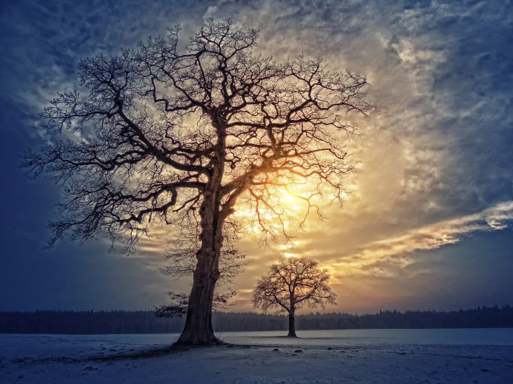 ilustrační foto