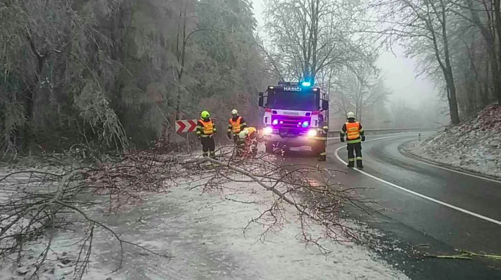 FOTO: Hasiči od oběda vyjížděli v kraji už k osmi popadaným stromům, na vině je tíha ledové krusty na nich