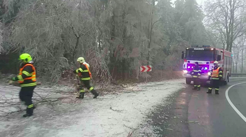 FOTO: Hasiči od oběda vyjížděli v kraji už k osmi popadaným stromům, na vině je tíha ledové krusty na nich