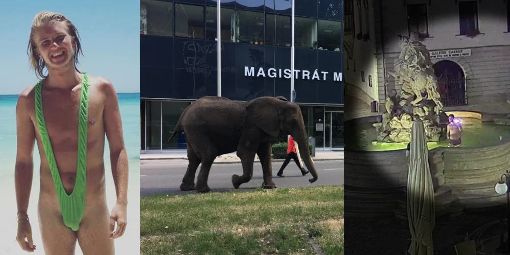 TOP 10 zásahů olomouckých strážníků za rok 2018: Zmatený Borat, sloni v centru nebo koupel v kašně