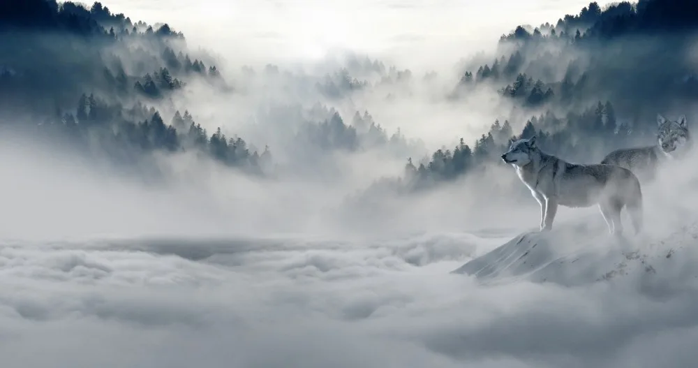 ilustrační foto