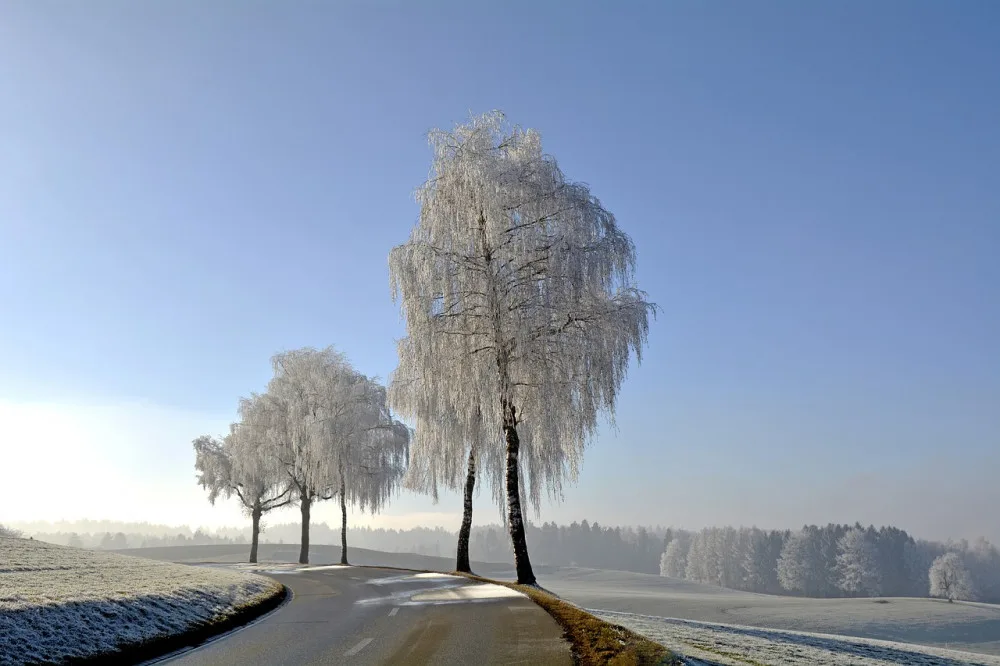 ilustrační foto