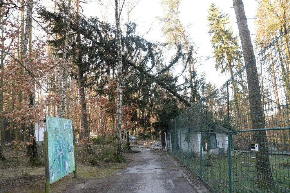 AKTUÁLNĚ: Olomoucká zoologická zahrada zůstává kvůli kalamitě zavřená