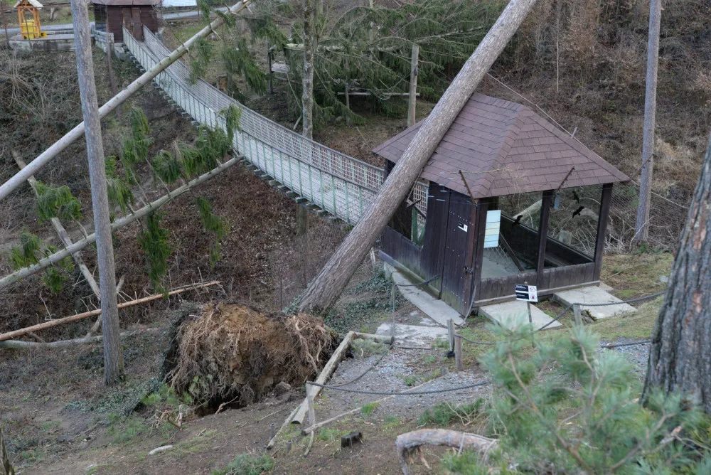 AKTUÁLNĚ: Olomoucká zoologická zahrada zůstává kvůli kalamitě zavřená
