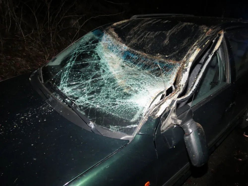 Strom spadl na projíždějící auto. Poškodil střechu a rozbil přední sklo