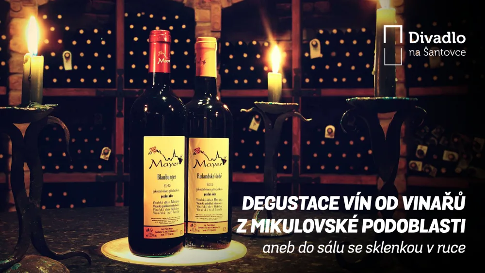 V Divadle na Šantovce budou probíhat degustace vín. Sklenku s vaším favoritem si pak můžete vychutnat během představení