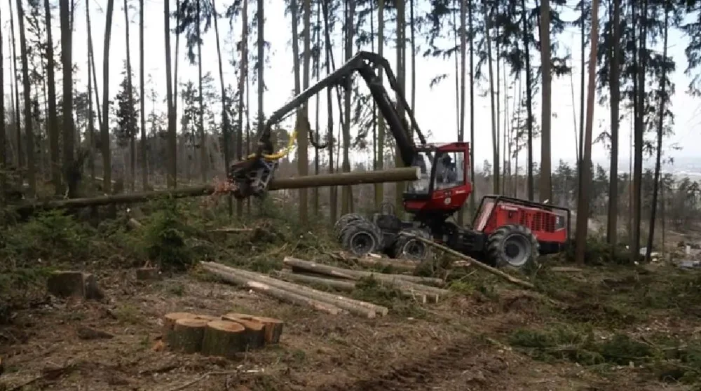 VIDEO: Odstraňování škod v olomoucké zoo bude trvat několik měsíců